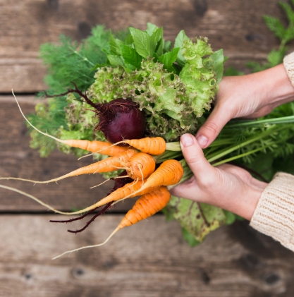 Humus cultiver des fruits et légumes